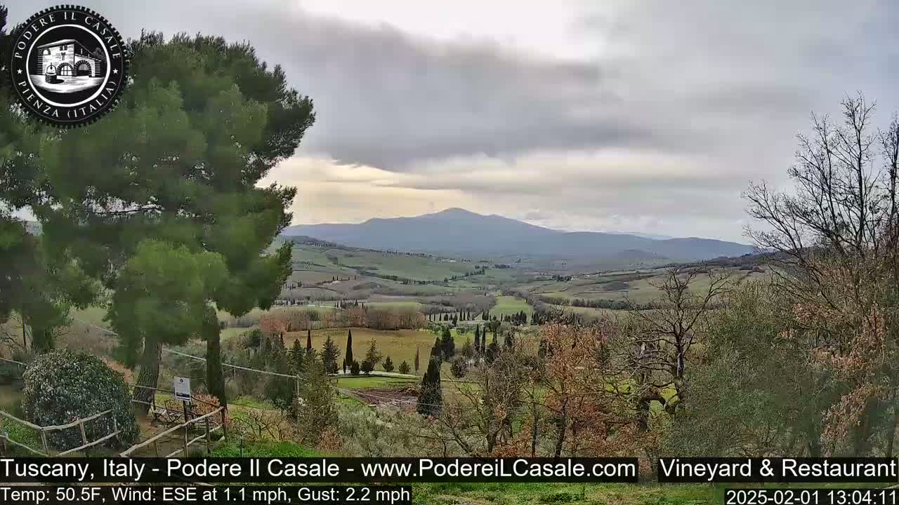 A view of rolling hills and distant mountains under an overcast sky.