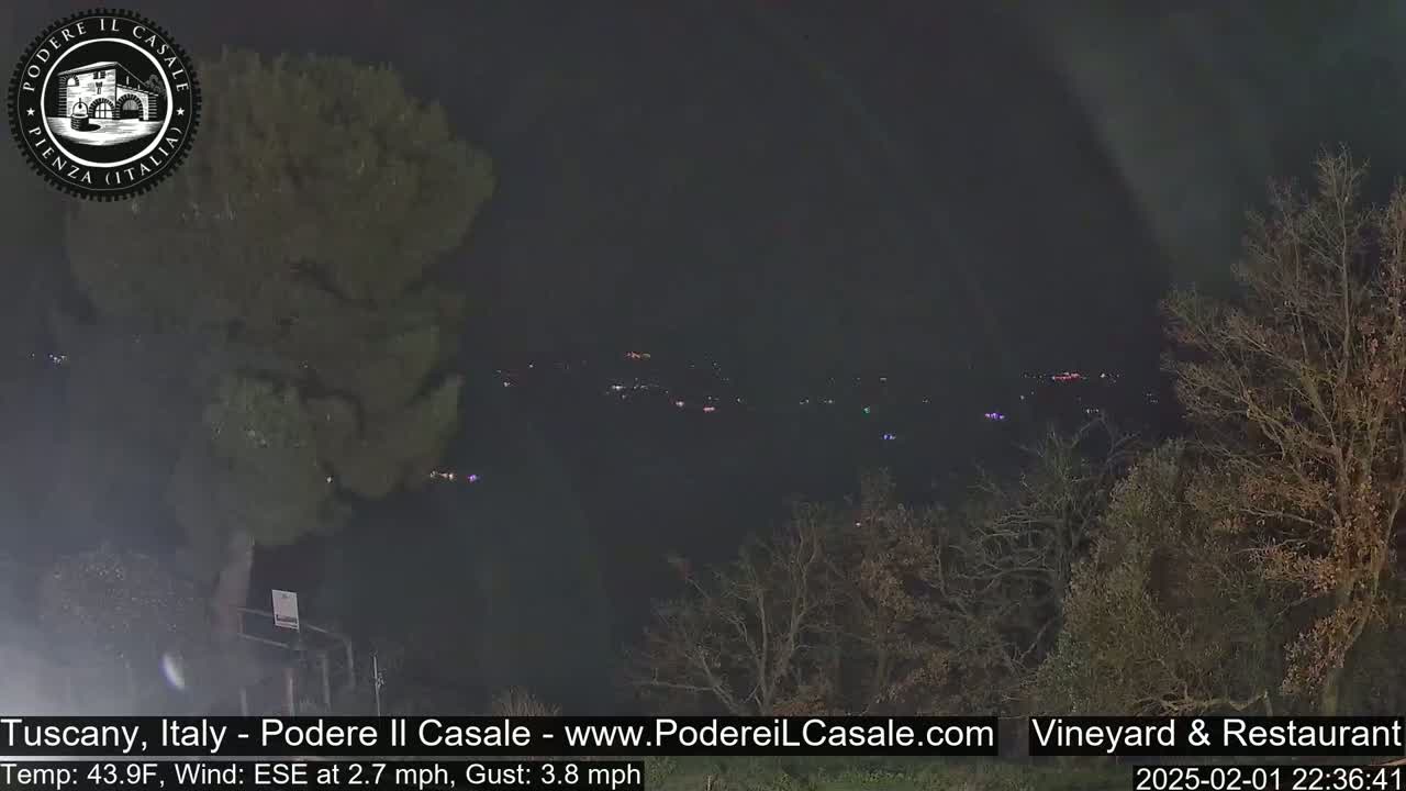 A nighttime view of a dimly lit landscape with scattered lights in the distance, under a dark sky, featuring some bare trees in the foreground and a gentle wind.
