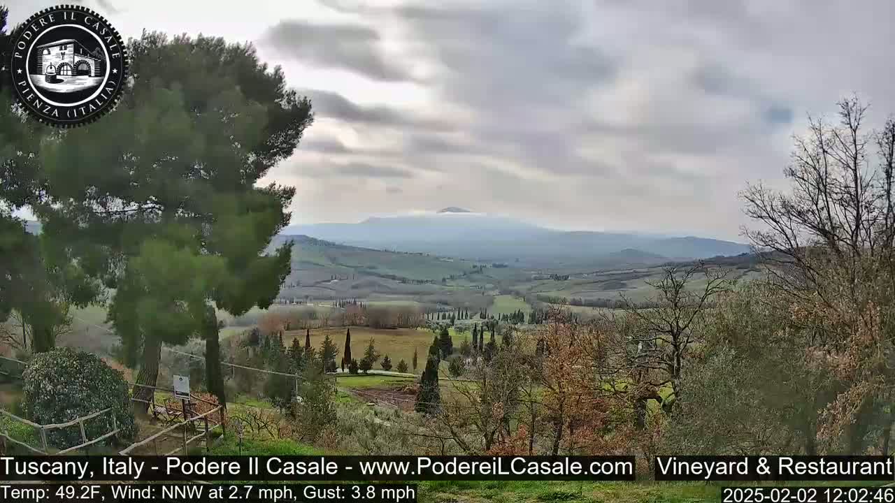 A view of a gently rolling, cultivated Tuscan landscape under an overcast sky, with a distant mountain range visible in the background.