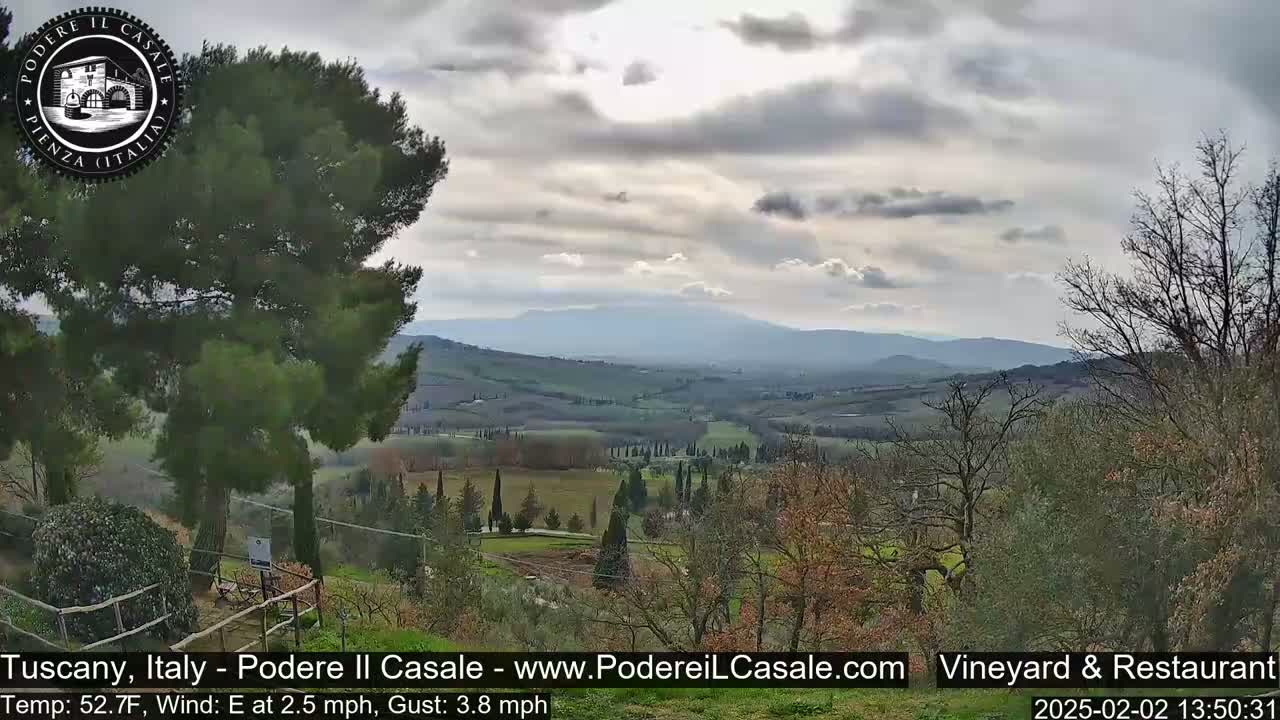 A panoramic view of a hilly landscape under a partly cloudy sky shows a vineyard and distant mountains.