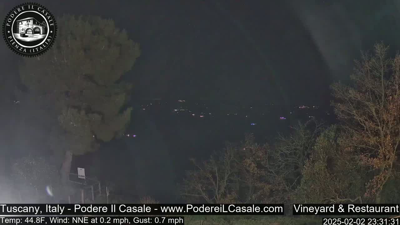 A nighttime view of a dark, sparsely lit landscape with bare trees and a distant cluster of lights under a clear sky.