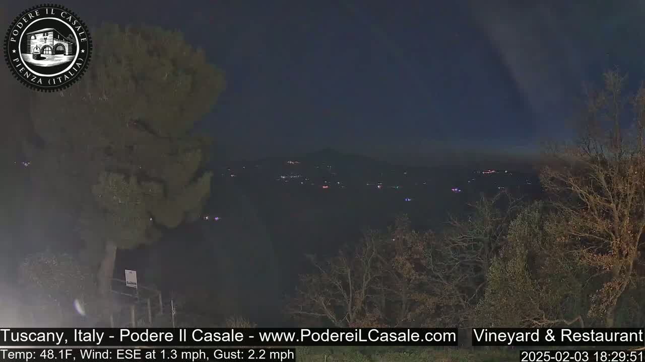 A nighttime view of a dimly lit valley with scattered lights, observed from a vantage point overlooking sparsely-leaved trees under a dark, clear sky.