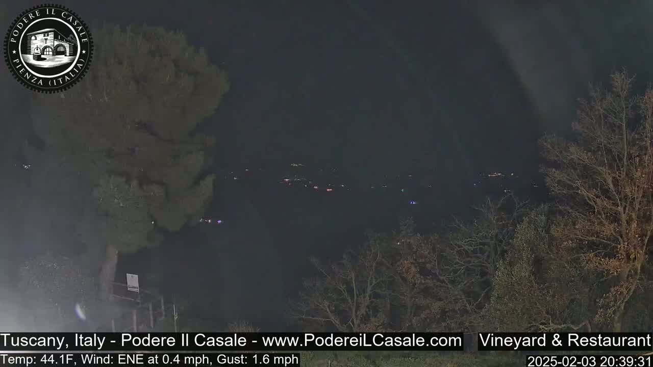 A nighttime view of distant lights across a dark landscape dotted with leafless trees, under a clear, dark sky.