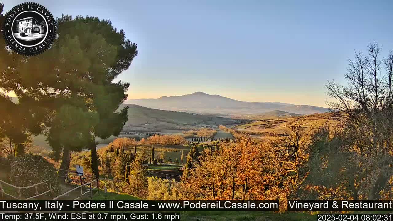 A sunlit Tuscan landscape reveals rolling hills, vineyards, and cypress trees under a clear sky.
