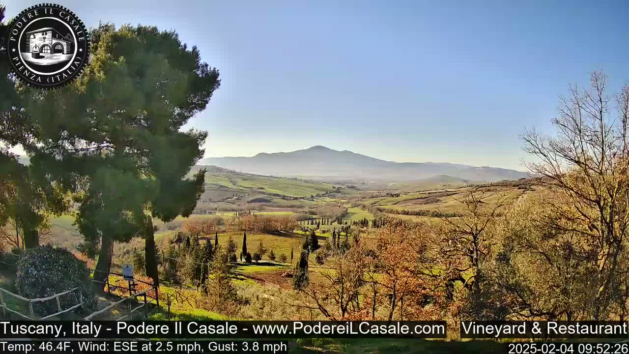 A hazy mountain range overlooks a sunlit Tuscan valley of rolling hills, vineyards, and sparsely leafed trees under a clear blue sky.