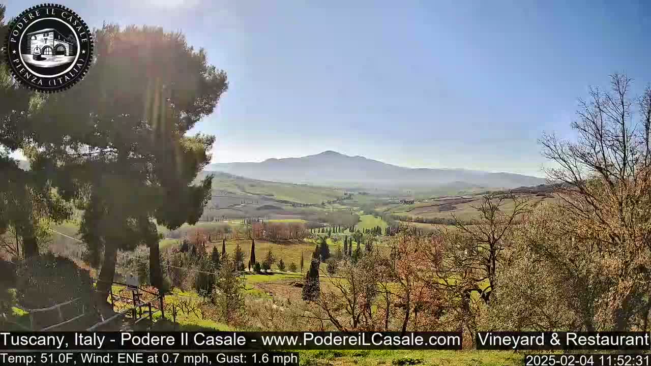 A sunny, slightly hazy view of a Tuscan landscape, featuring rolling hills, vineyards, and scattered trees.