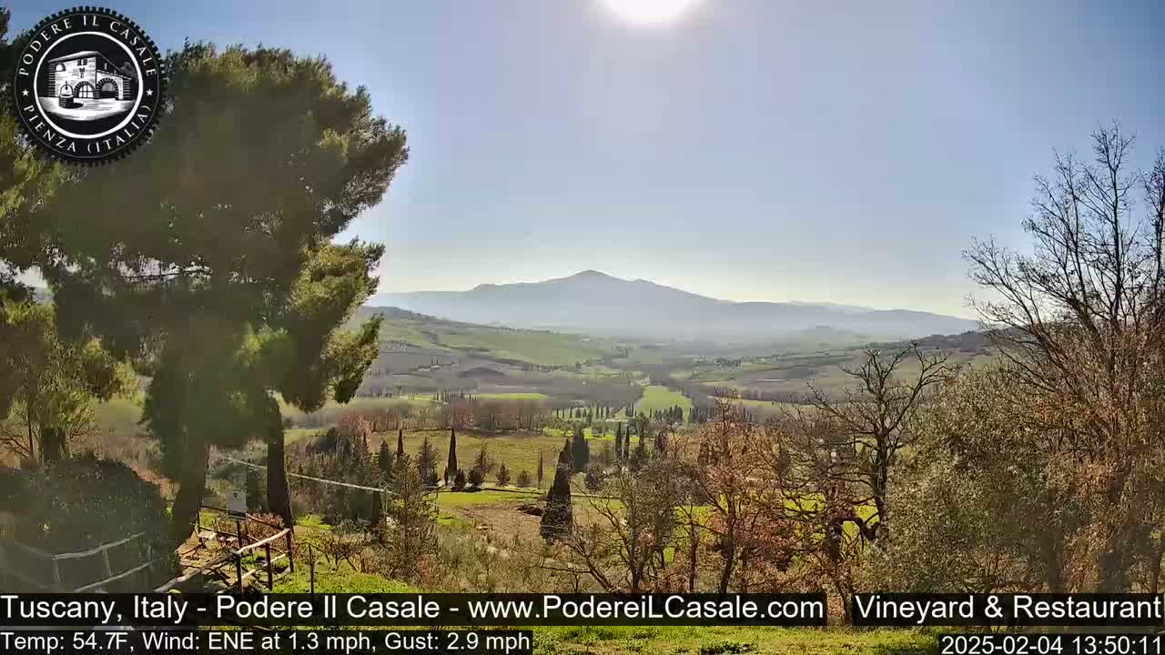 A sunny view of a rolling, green Tuscan landscape with a mountain in the distance, partially obscured by a light haze, seen from a slightly elevated vantage point amongst trees.