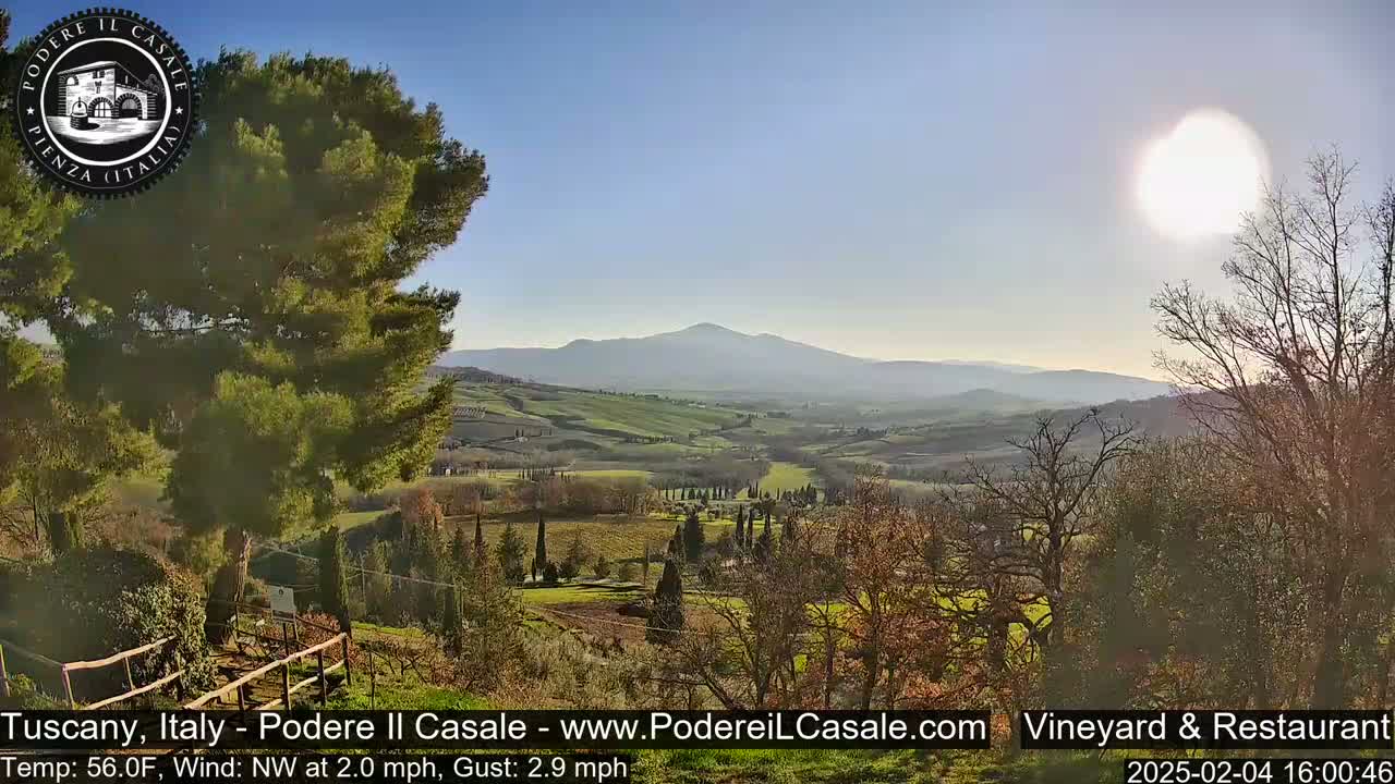 A sunny, slightly hazy view of a Tuscan landscape shows rolling hills, vineyards, and cypress trees under a bright sun, with a distant mountain range visible on the horizon.