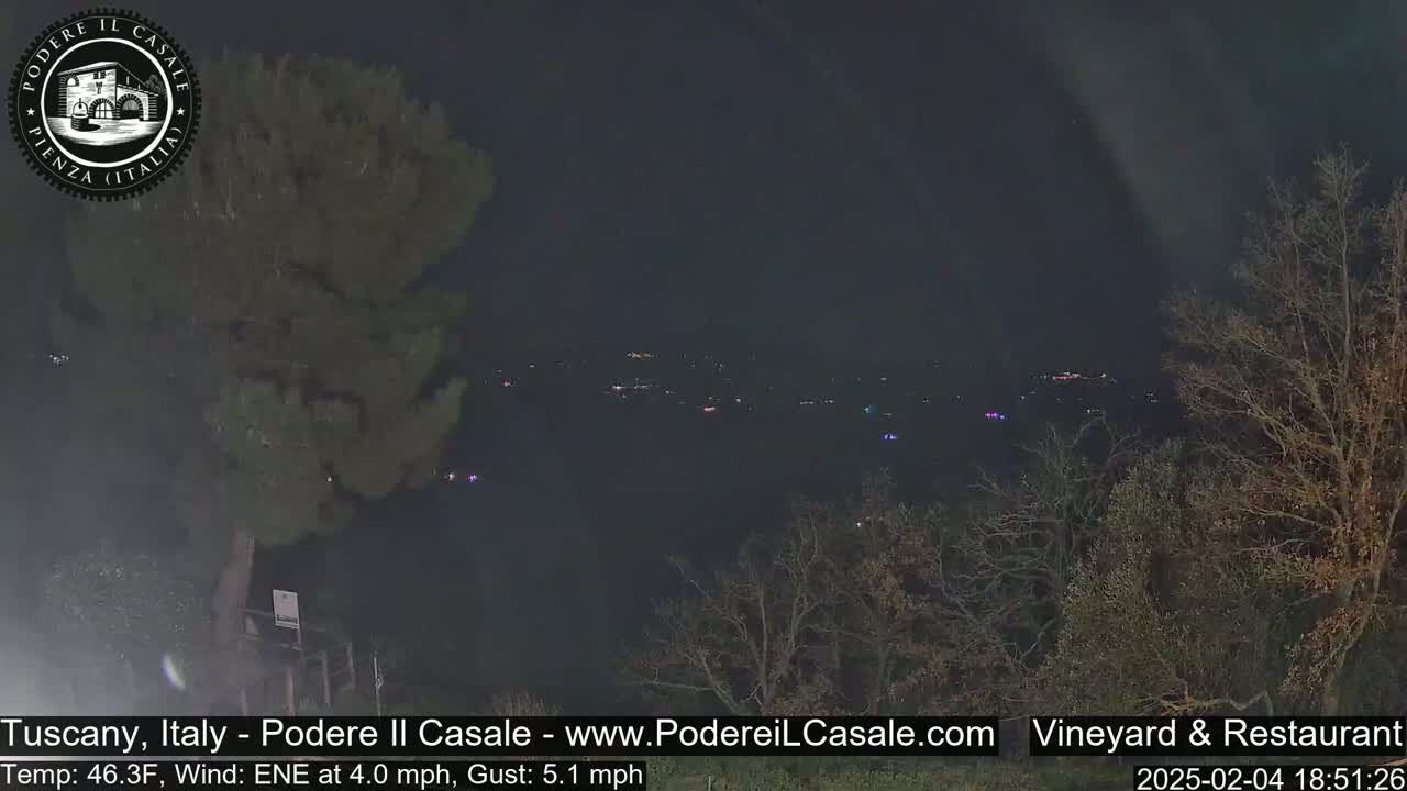 A nighttime, long shot reveals a distant town illuminated by scattered lights, partially obscured by bare trees in the foreground under a dark sky.