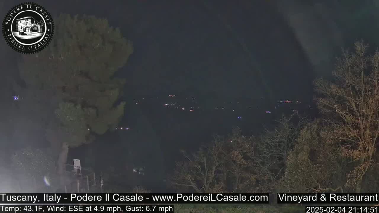 A nighttime view of distant, sparsely lit buildings nestled among dark trees under a dark sky with a slight wind.