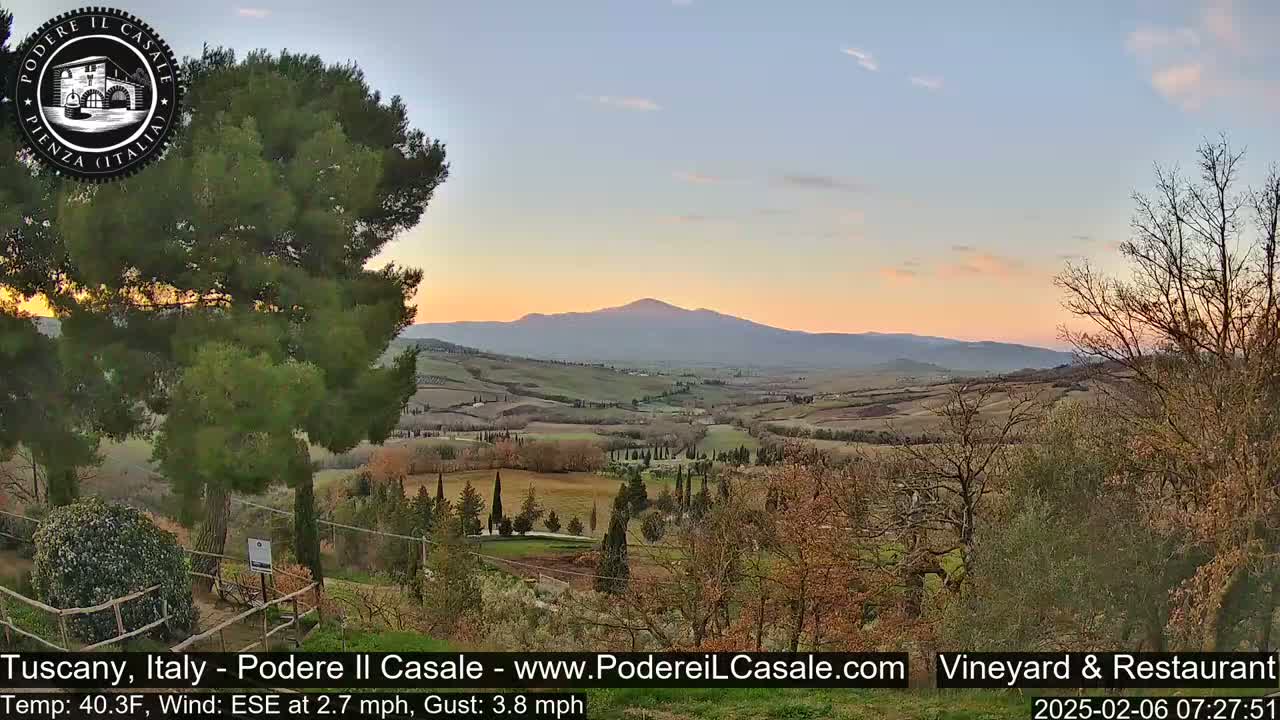 A Tuscan landscape at sunset shows rolling hills, vineyards, and cypress trees under a clear, pale sky.