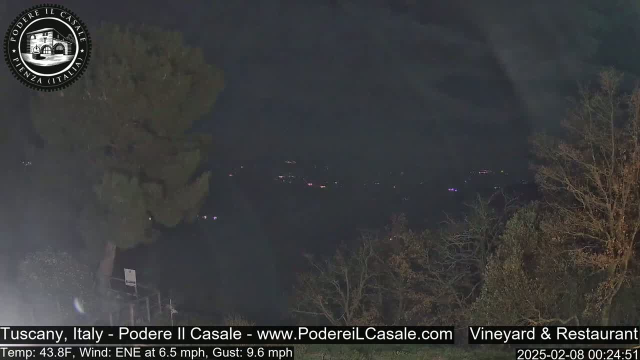 A nighttime, outdoor view of a dark landscape with sparsely lit buildings in the distance, under a cloudy sky, with bare trees in the foreground.