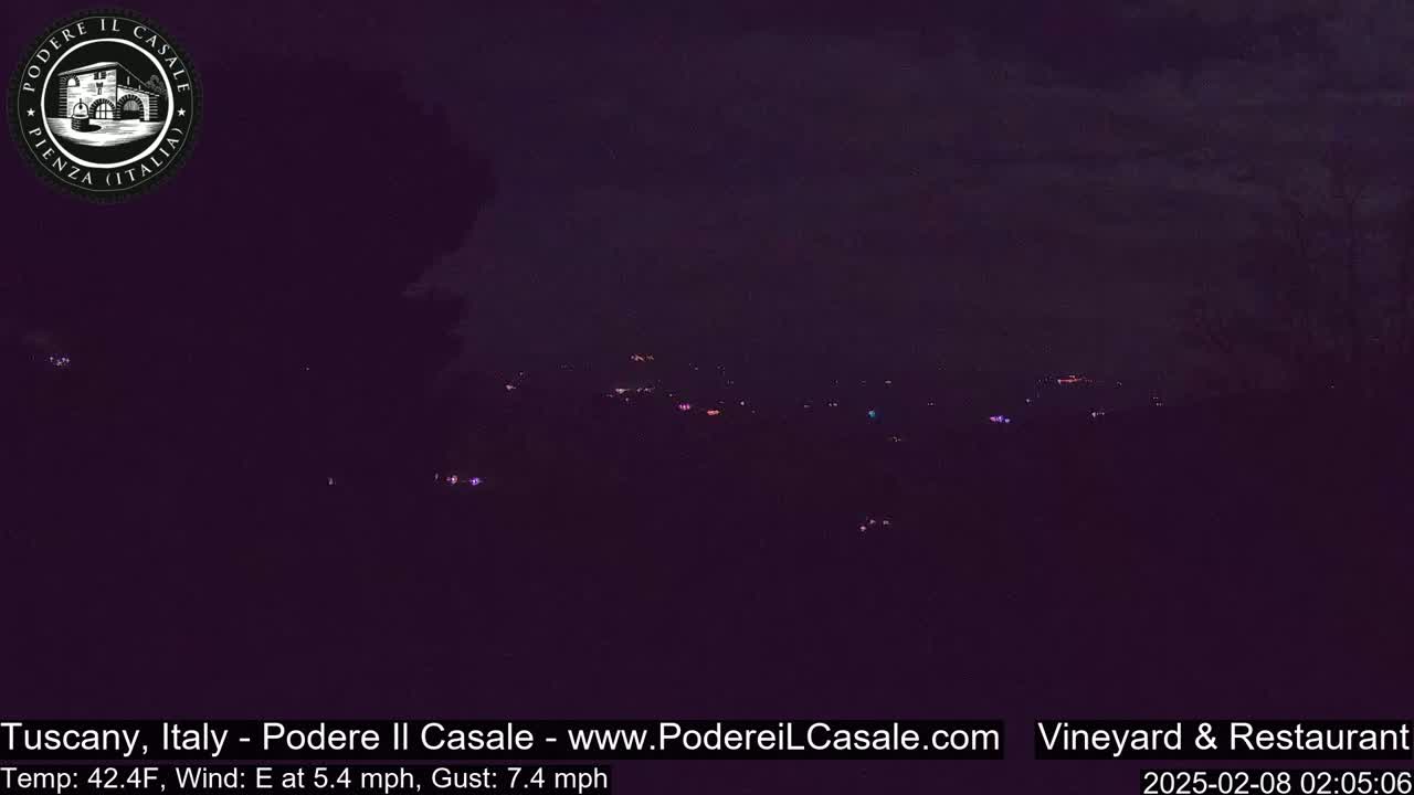 A nighttime, dimly lit landscape shows a dark hillside with scattered faint lights in the distance under a dark, cloudy sky.