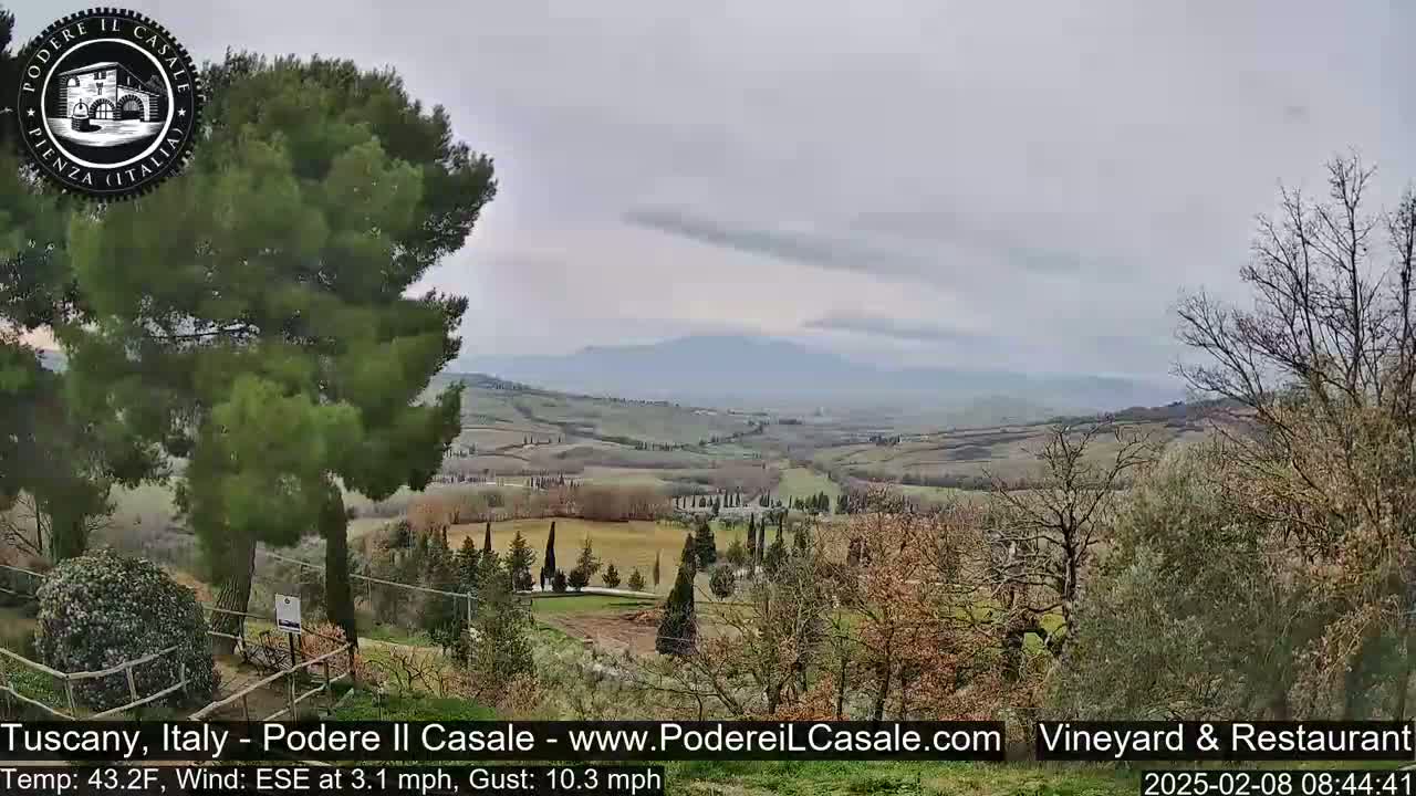 A view of a hilly Tuscan landscape under an overcast sky, with a gentle breeze blowing through the trees.