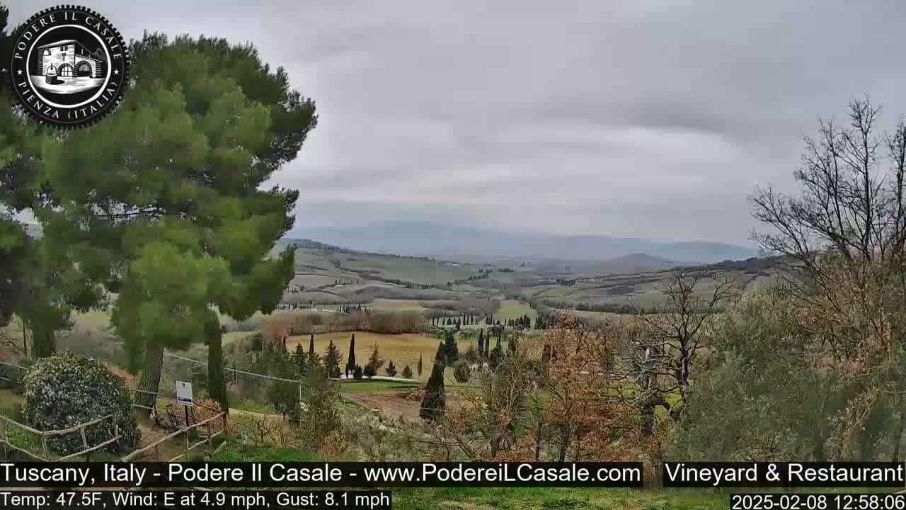 A view of rolling hills and farmland under an overcast sky, partially obscured by trees in the foreground.