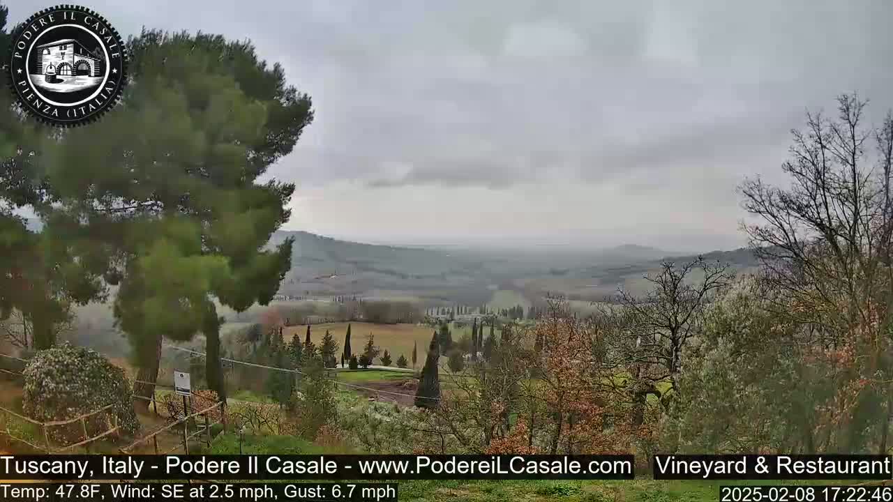 A view of a hilly Tuscan landscape on an overcast day, with trees and vegetation in the foreground and a distant valley visible under a gray sky.