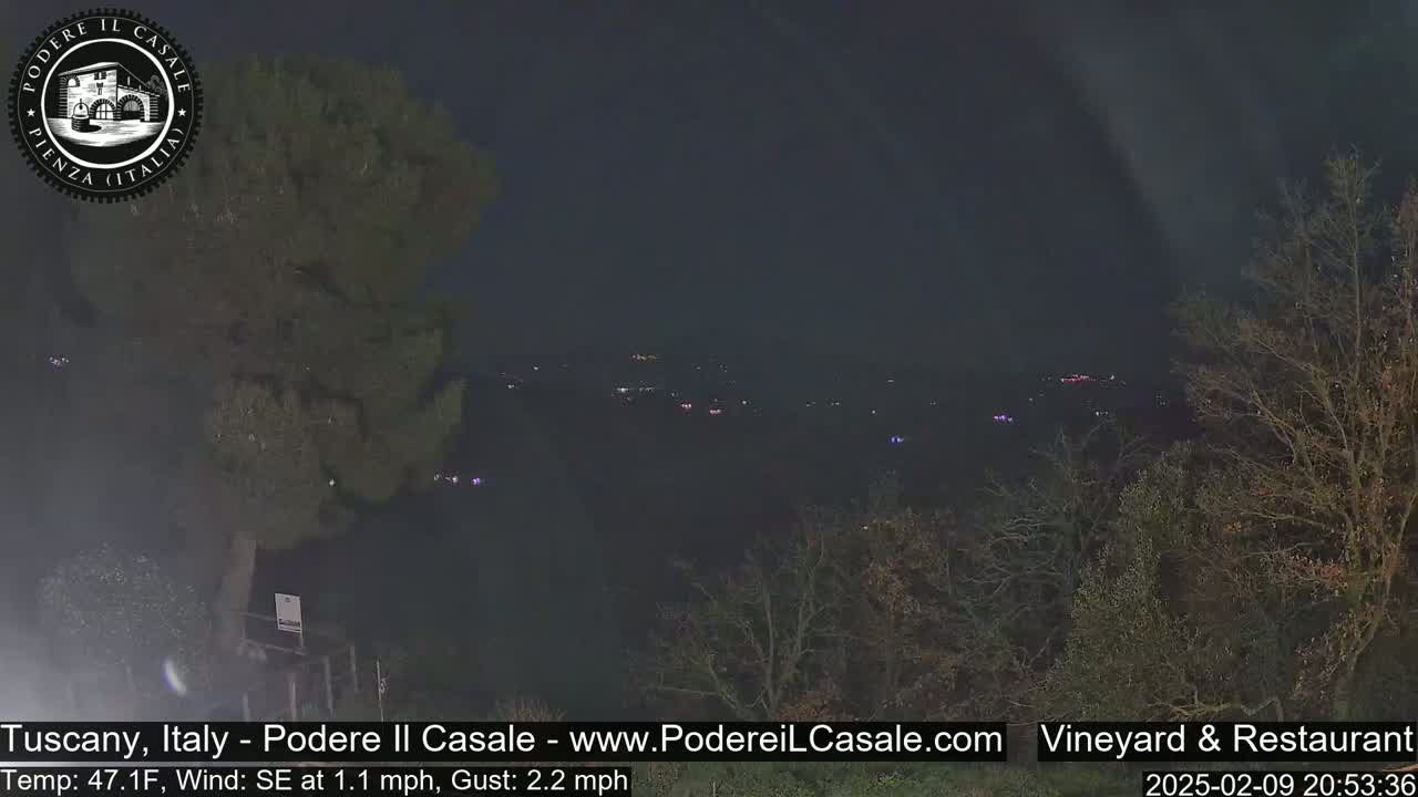 A nighttime, long shot of a dark, hilly landscape with sparsely-lit buildings in the distance, viewed from behind trees with a slight southeasterly wind.