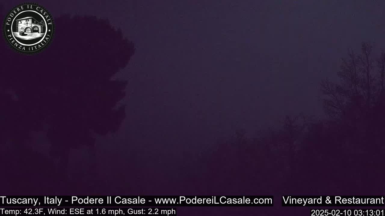 A dark, hazy outdoor scene shows a few silhouetted trees under a dusky purple sky.