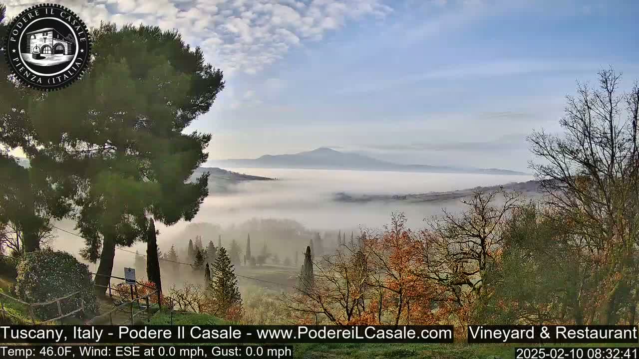 A misty valley stretches out to distant mountains under a partly cloudy sky, viewed from a vantage point amidst trees with some autumnal coloring.