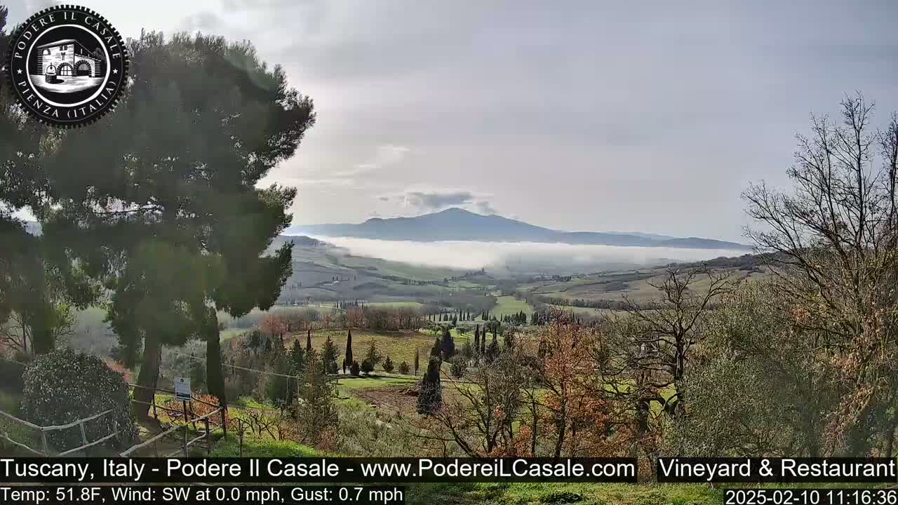 A misty valley with rolling hills, cypress trees, and a mountain in the distance is seen from an elevated vantage point on a slightly overcast day.