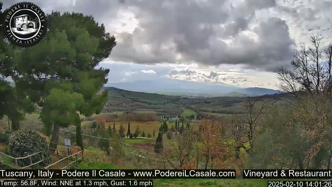 A panoramic view of a Tuscan landscape under a cloudy sky shows rolling hills, cypress trees, and a large pine tree in the foreground.