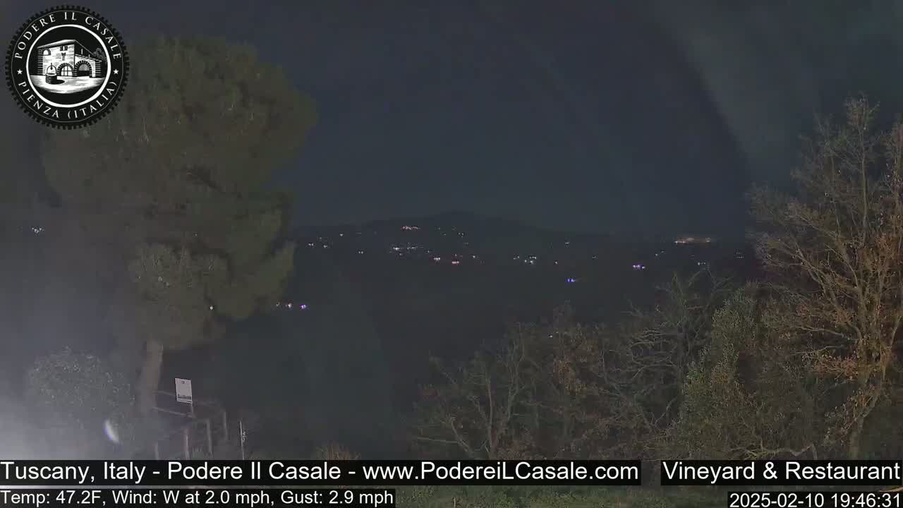 A nighttime view of a dimly lit town nestled in a valley, partially obscured by trees under a dark sky with a slight wind.
