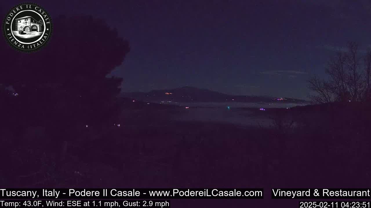 A nighttime view of a valley shrouded in fog, with a few distant lights visible and a dark, leafless tree in the foreground, under a clear, dark sky.