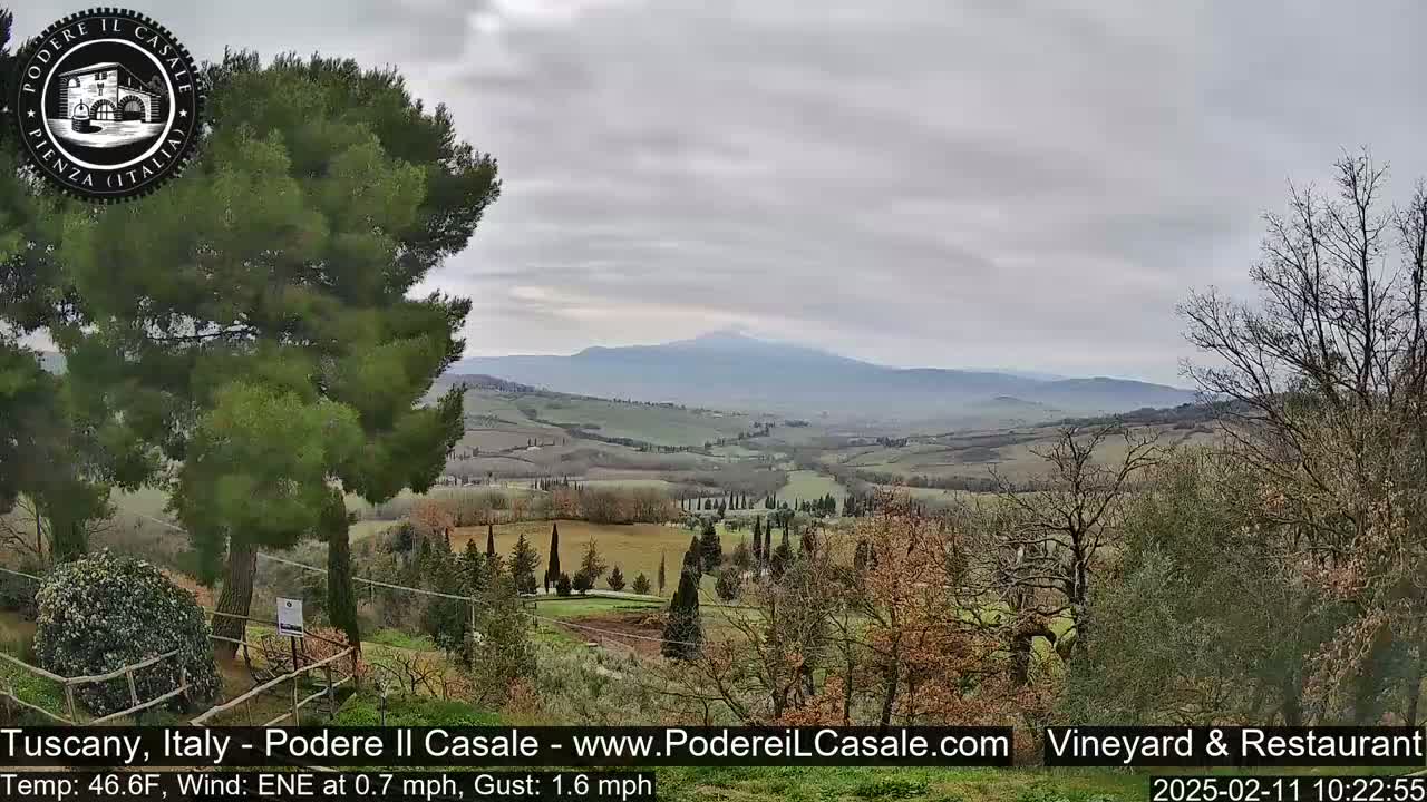 A view of a rolling Tuscan landscape under a cloudy sky, showing fields, trees, and a distant mountain.