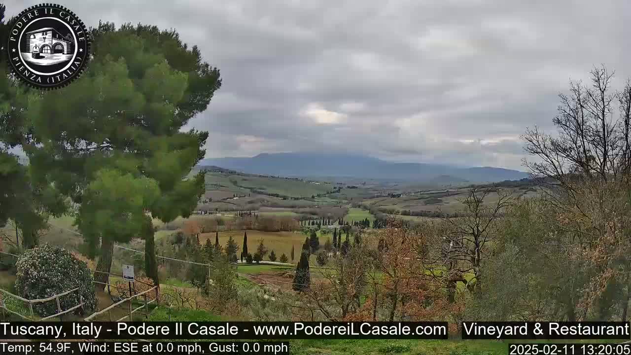 A view of a rolling Tuscan landscape under a cloudy sky shows a vineyard and trees in the foreground.