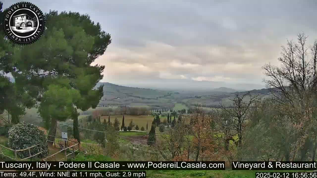 A panoramic view of a rolling, tree-studded Tuscan landscape under a cloudy sky.