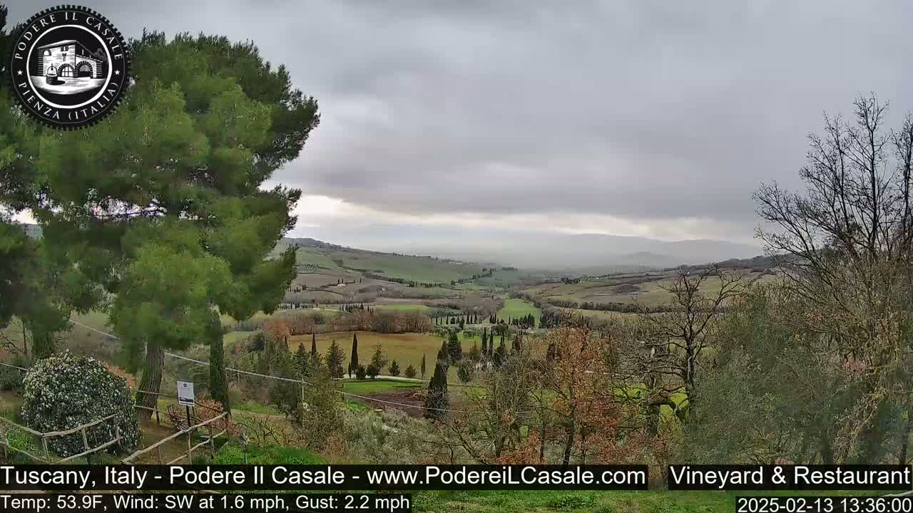A hilly Tuscan landscape under an overcast sky is seen from an elevated vantage point, with a large evergreen tree in the foreground.