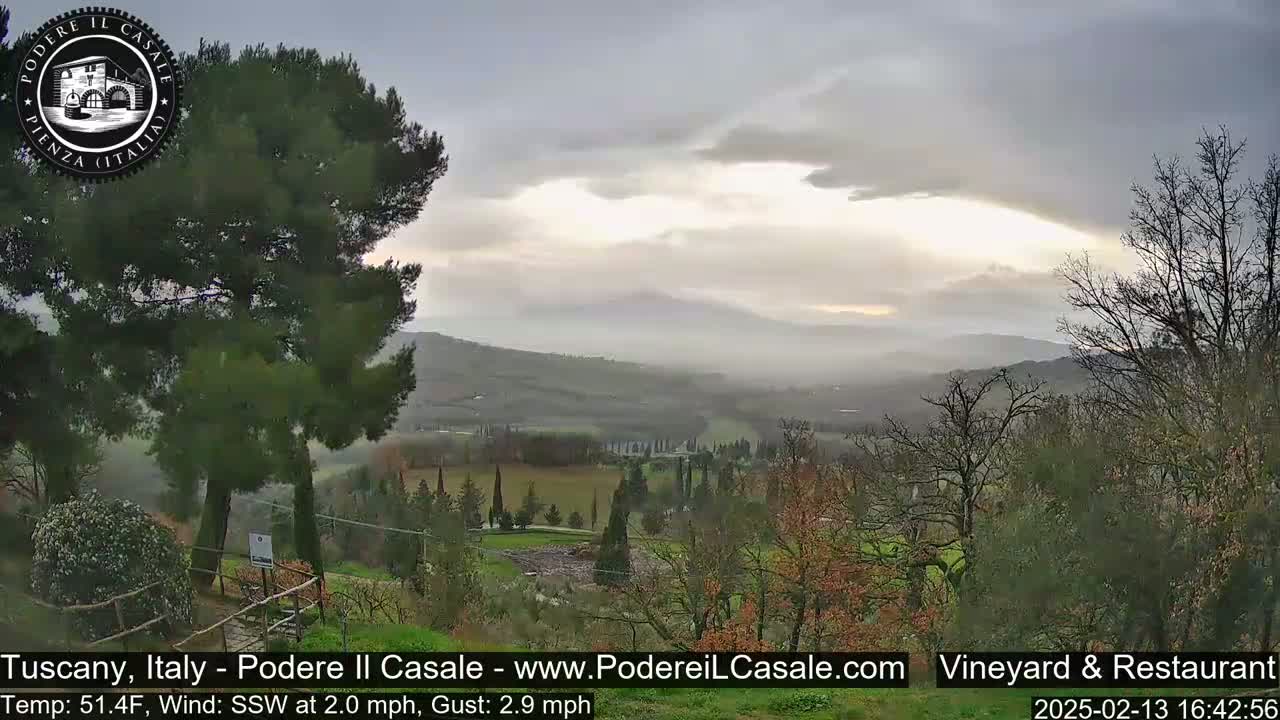 A view of a misty valley and rolling hills under an overcast sky, seen from a vantage point partially obscured by trees.