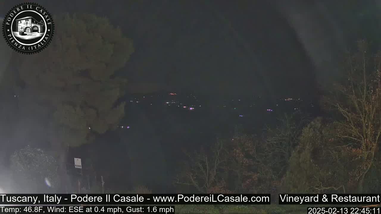 A nighttime view of a dimly lit town in the distance, seen from behind a dark, silhouetted tree line under a dark sky with a light wind.