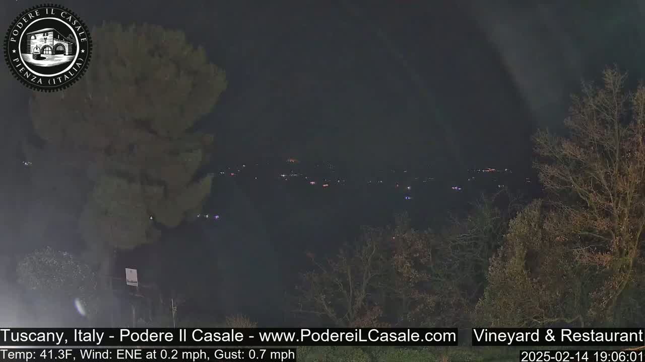 A nighttime view of distant lights in a valley, partially obscured by trees under a dark sky with a slight east-northeast wind.