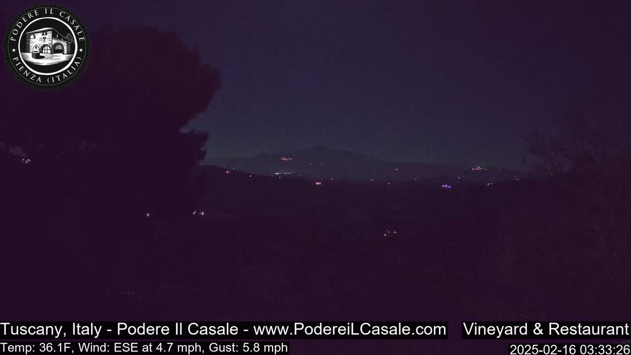 A nighttime, dark landscape shows a distant, dimly lit town under a clear, dark sky with a slight wind.