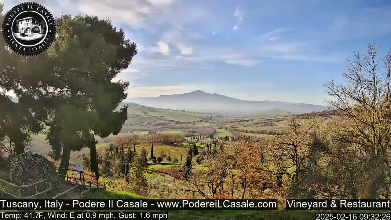 A hazy, sunny view of a Tuscan valley with rolling hills, vineyards, and scattered trees.