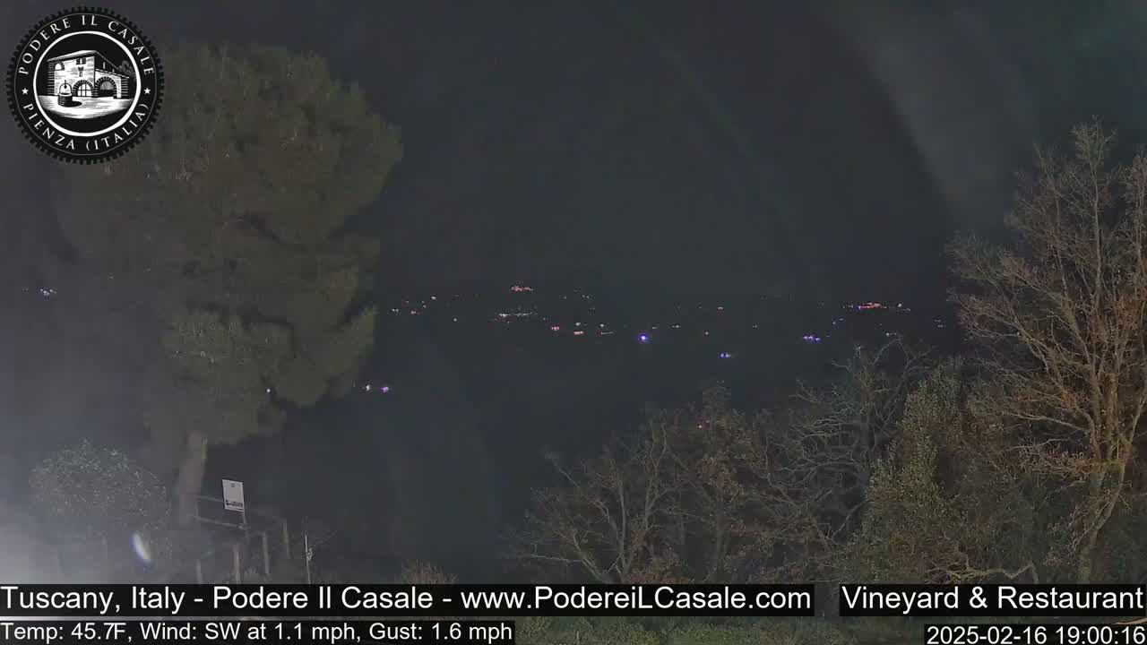 A nighttime view of dimly lit buildings and trees in the distance under a dark sky with a southwest wind.