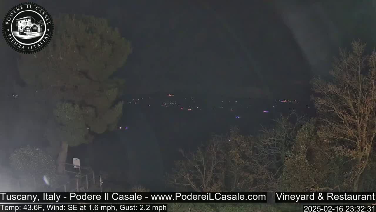 A nighttime, long-range view of a dimly lit town nestled among dark, leafless trees under a dark sky, with a slight southeast wind.