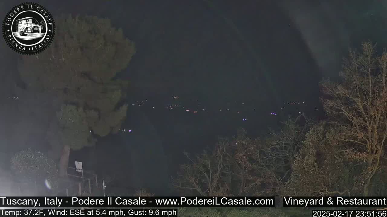 A nighttime view of a dimly lit landscape with sparse trees and distant lights under a dark sky.
