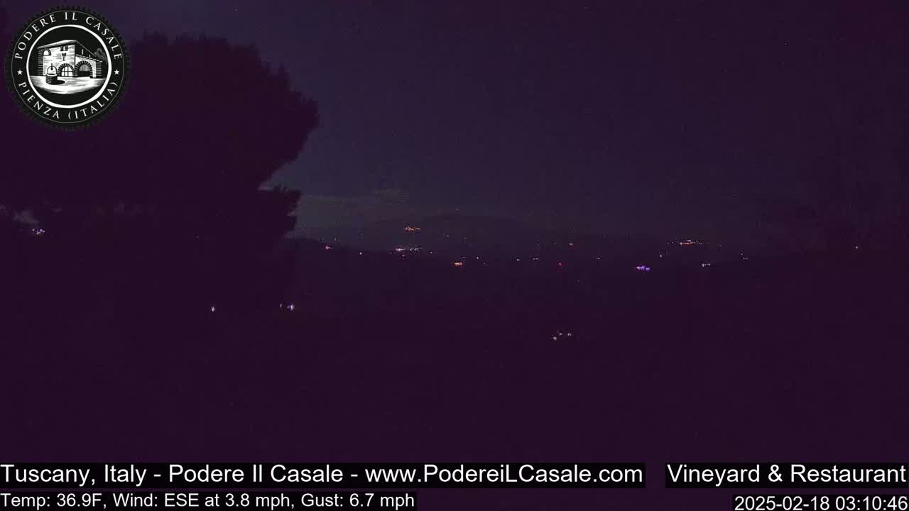 A nighttime view of a distant town's lights, partially obscured by dark trees and a slightly hazy atmosphere, under a dark sky.