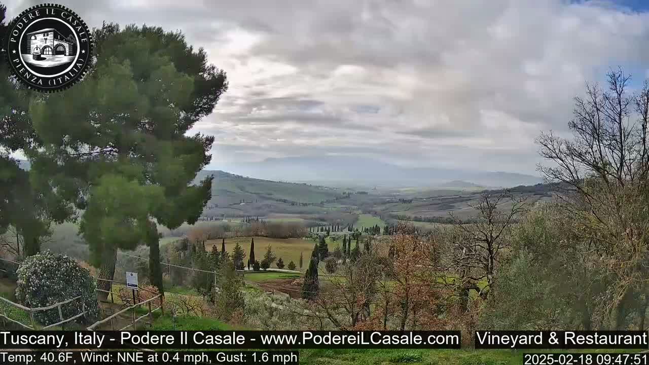 A sprawling, hilly landscape under a cloudy sky is visible from an elevated vantage point, with a variety of trees and shrubs in the foreground.