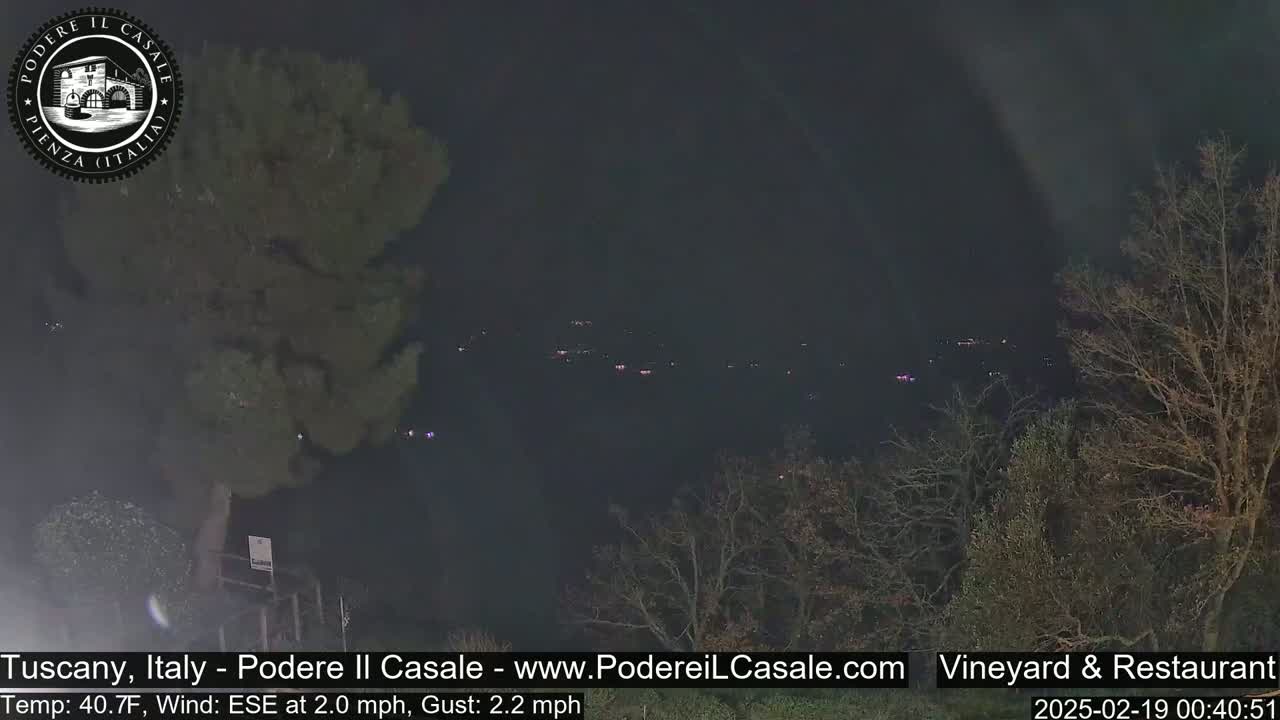 A nighttime view of distant lights across a valley, partially obscured by bare trees under a dark sky.