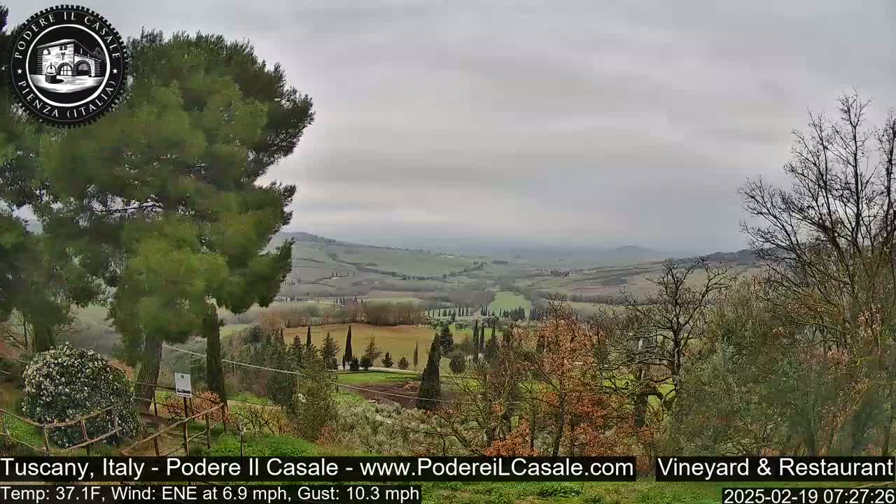 A view of rolling hills and farmland under an overcast sky, with a few trees in the foreground.