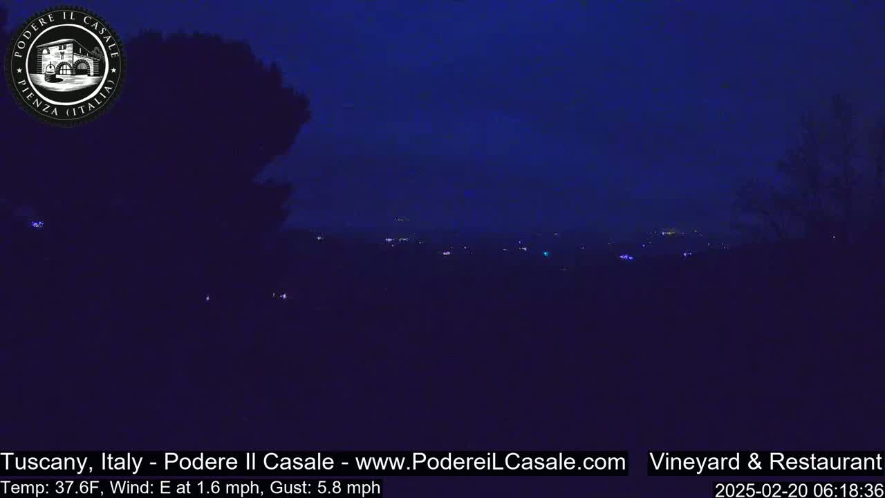 A dark, nighttime landscape with distant, faint lights and silhouettes of trees under a clear, dark blue sky.