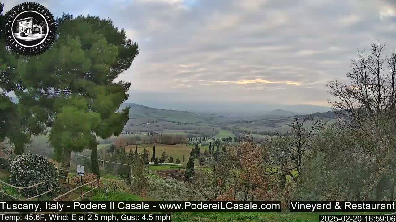 A view of a gently rolling Tuscan landscape under a mostly cloudy sky, with a few trees in the foreground and a hint of sunset in the distance.
