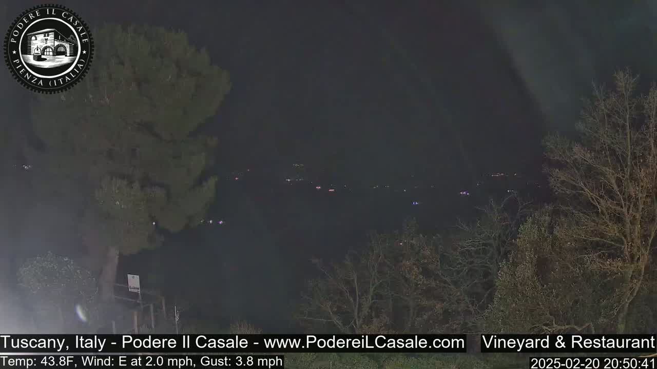 A nighttime, slightly hazy view of dimly lit buildings and trees in the distance, with a light east wind.