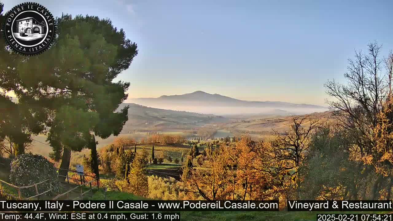 A misty valley stretches out below a hilltop vantage point, with autumnal trees in the foreground and a clear sky above.
