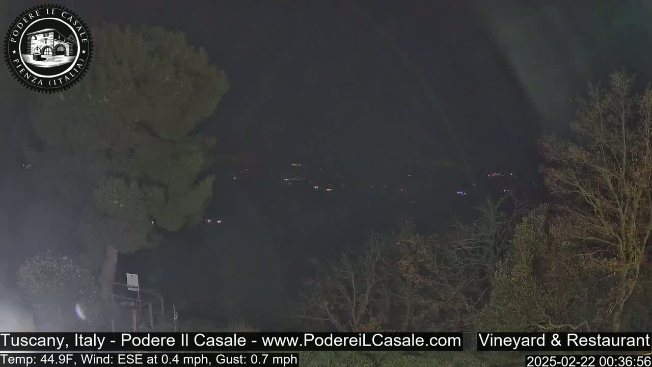 A nighttime view of dimly lit trees and a distant village under a dark sky.