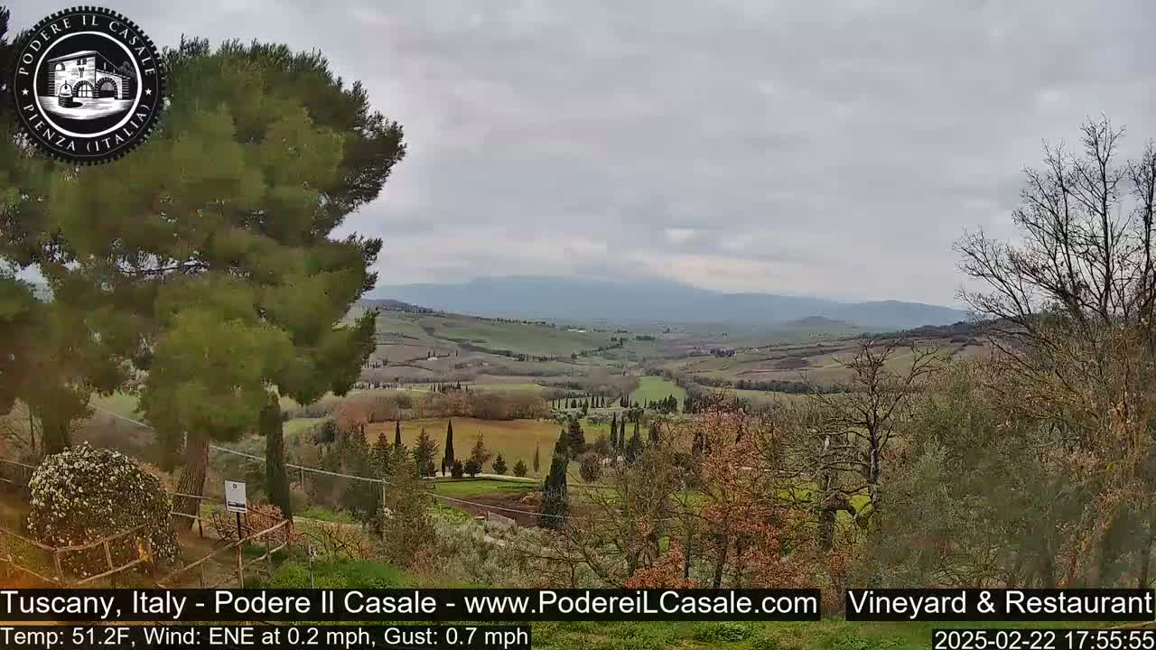 A view of rolling hills and farmland under an overcast sky, with a dark green pine tree in the foreground.