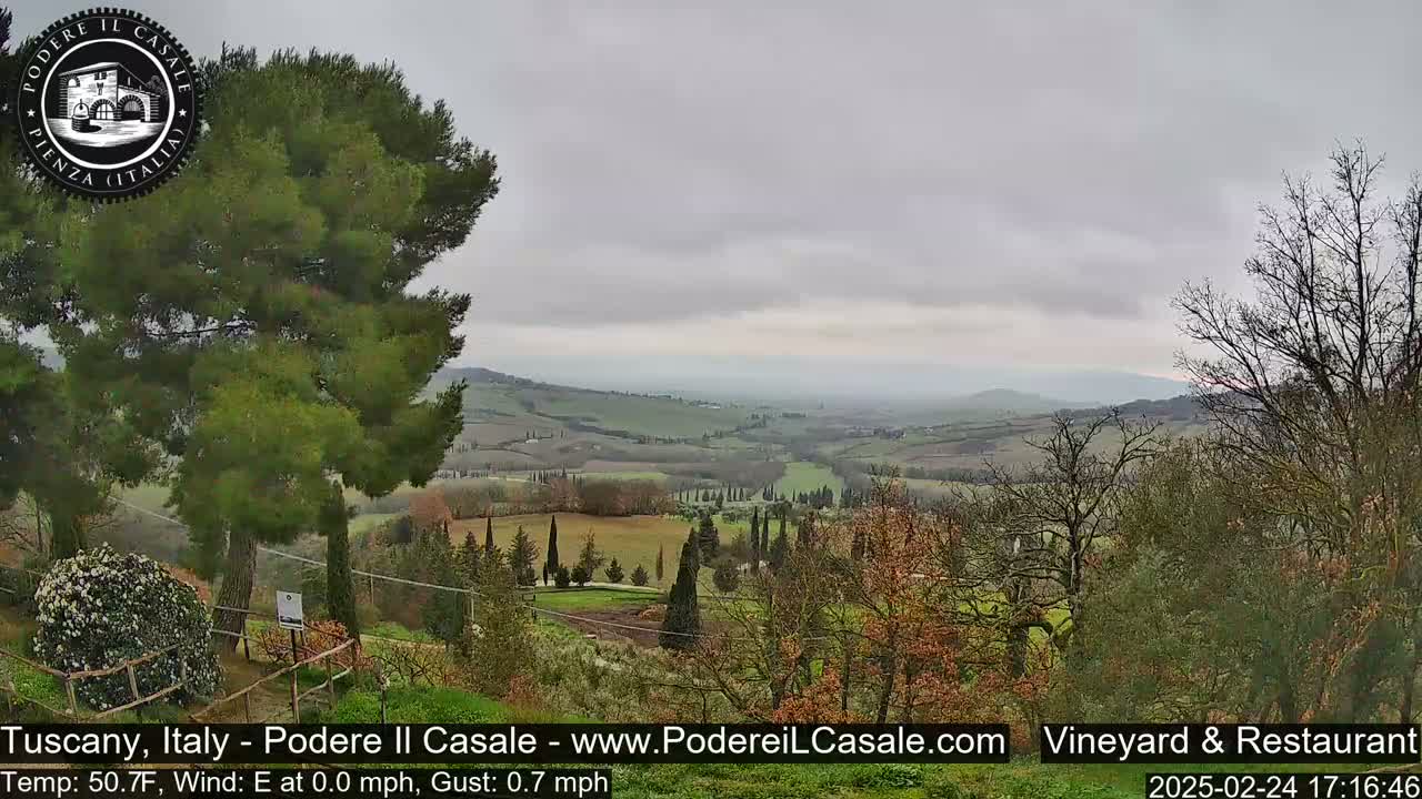 A view of a hilly Tuscan landscape under a cloudy sky, showing a vineyard with cypress trees and other vegetation.